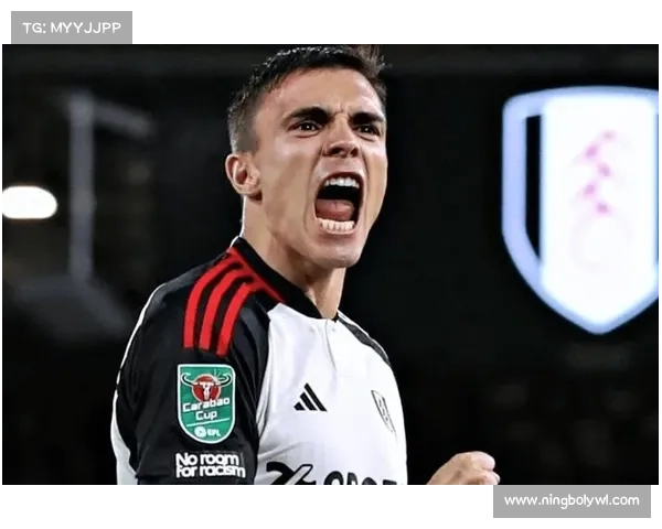 帕利尼亚加盟拜仁背后有哪些值得关注的转会细节与影响因素